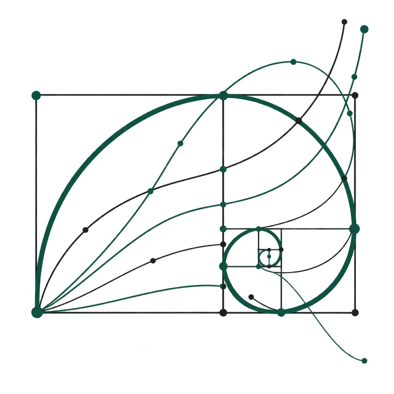 Fibonacci spiral intersected by a family of polynomial curves
